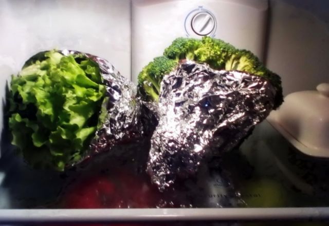 9 Cara Mengawetkan Makanan untuk Cegah Pembusukan Sebelum Masuk Kulkas