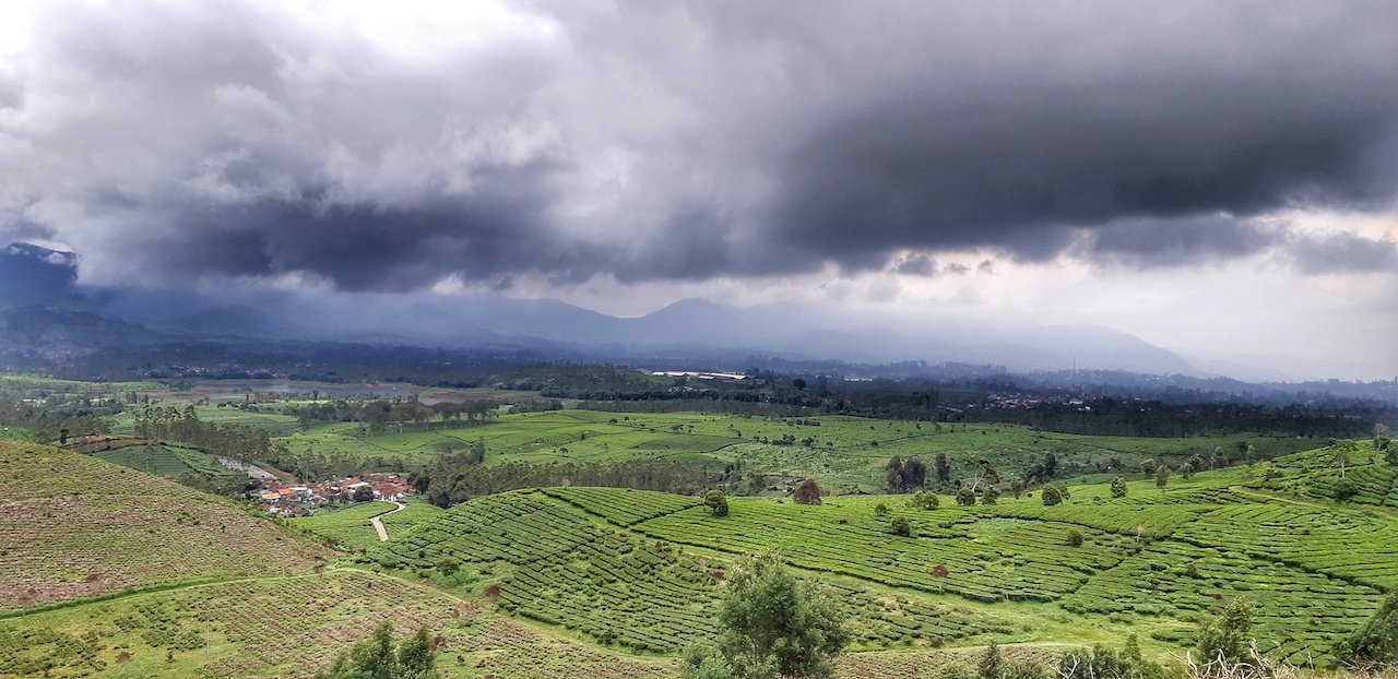 Pangalengan, Eksotisme Perkebunan Teh di Selatan Bandung