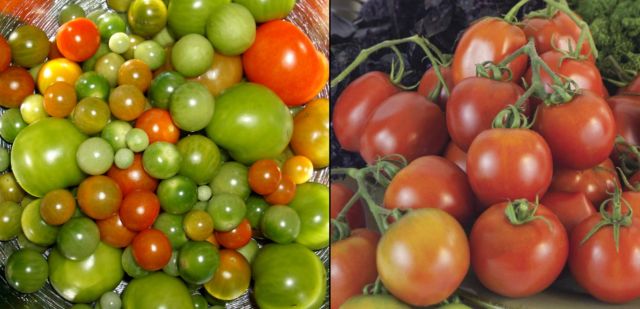 9 Cara Mengawetkan Makanan untuk Cegah Pembusukan Sebelum Masuk Kulkas