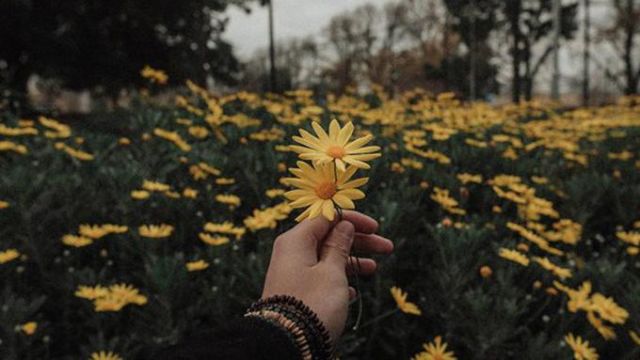 ikhlasin kamu