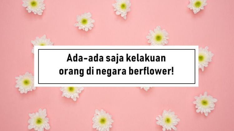 Kamus Medsos 3.0. Begini Maksud dari Istilah Aneh yang Biasa Dipakai Warganet di Kolom Komentar