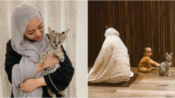 Mengenal Kucing Serval Milik Rachel Vennya, Kucing Mahal Afrika yang Harganya sampai Ratusan Juta