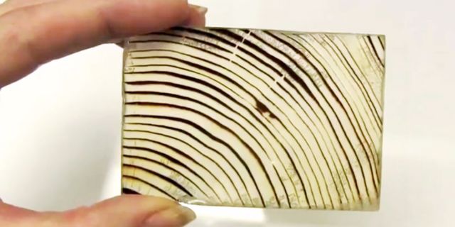 See-through wood
