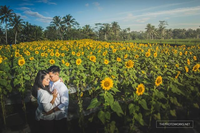 9 Lokasi Cantik di Magelang yang Bisa Jadi Spot Pre-Wedding. Minim Biaya dan Berkesan!