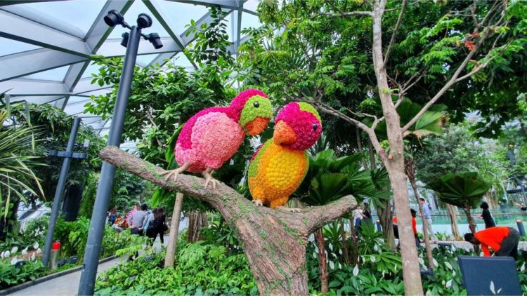 Jewel Changi Airport, Destinasi Hits Baru di Bandara Changi Singapura. Megah, Mewah, Spektakuler!