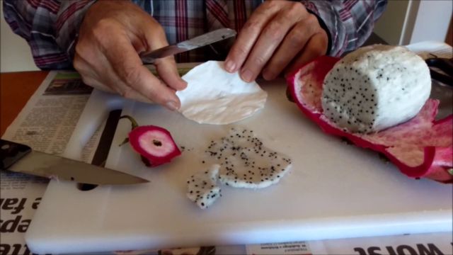 cara mengambil biji dari buah