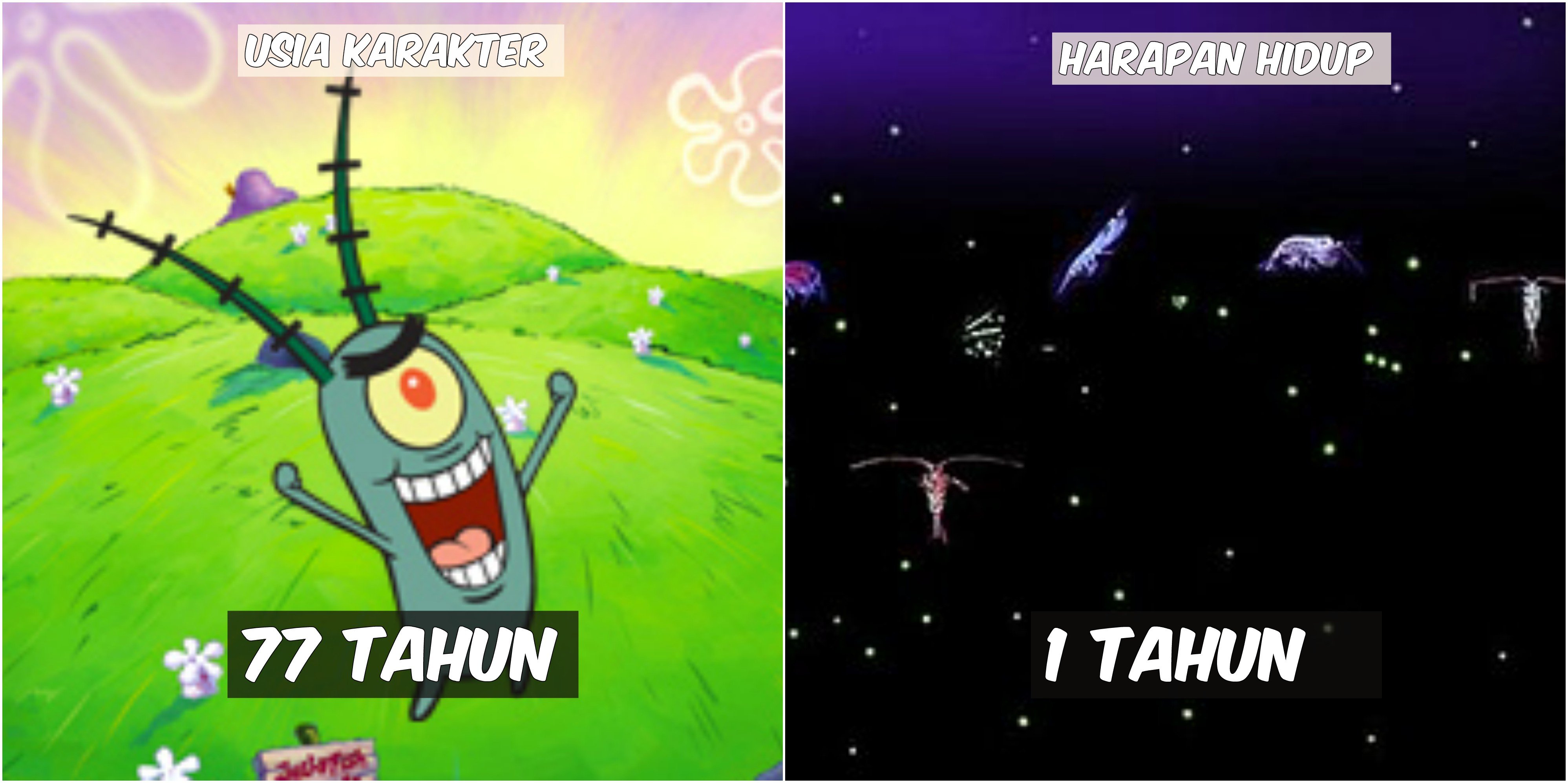 Usia 9 Karakter Spongebob VS Harapan Hidup Hewan di Lautan. Patrick Star Tinggal Setahun Lagi :((