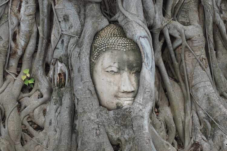 Panduan Travelling ke Ayutthaya, Kota Kuno di Thailand yang Eksotis. Keliling Pake Sepeda Juga Bisa!
