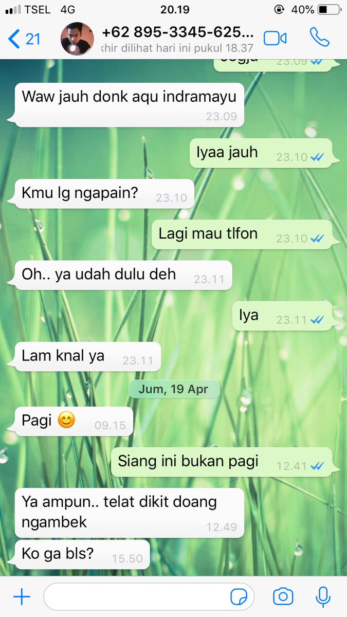 chat lucu