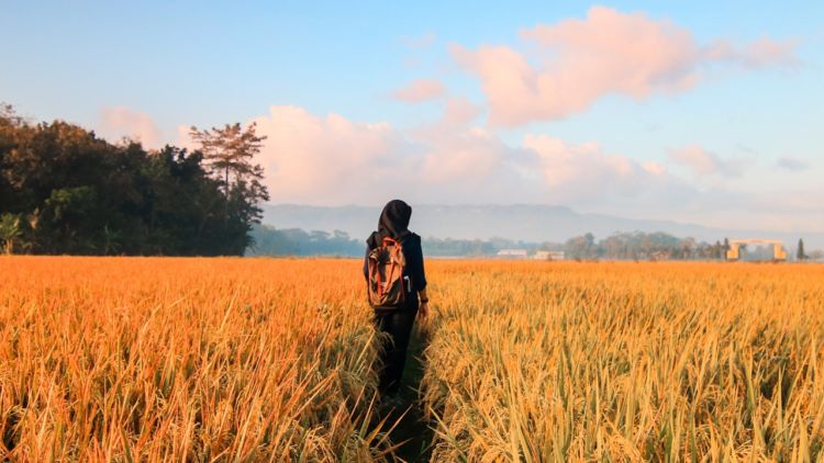 Untukmu Si Penikmat Curang