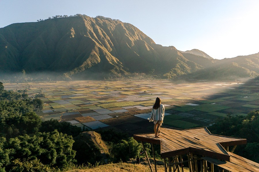 Panduan Liburan ke Lombok Timur, Susuri Pantai Pink Hingga Pemandangan Rinjani dari Sembalun!