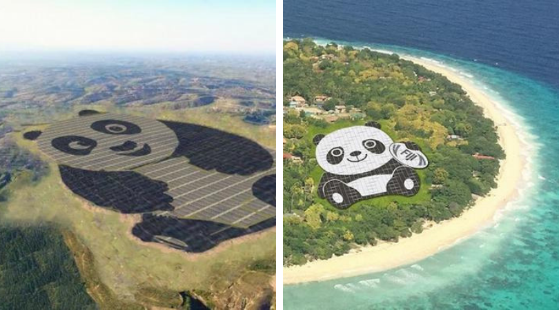 Pembangkit Listrik Tenaga Surya di China Berbentuk Gambar Panda. Lucu dan Bikin Gemes Sih
