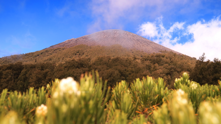 Pendakian Syahdu Gunung Semeru, Kadang Ada Rindu yang Terbentengi Waktu