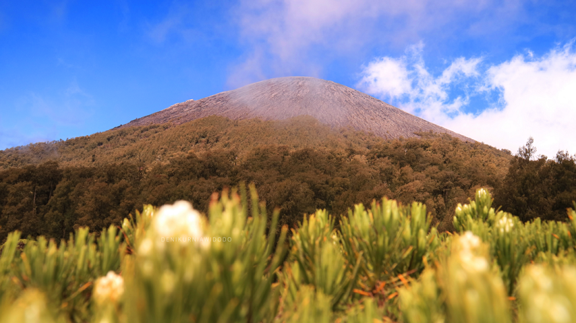 Pendakian Syahdu Gunung Semeru, Kadang Ada Rindu yang Terbentengi Waktu