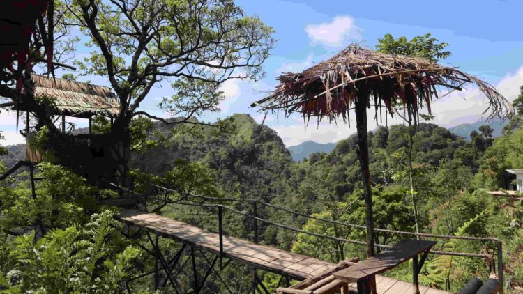 Yuk, ke Rumah Pohon di Bukit Bejagan Sambil Menikmati Panorama Alam yang Indah!