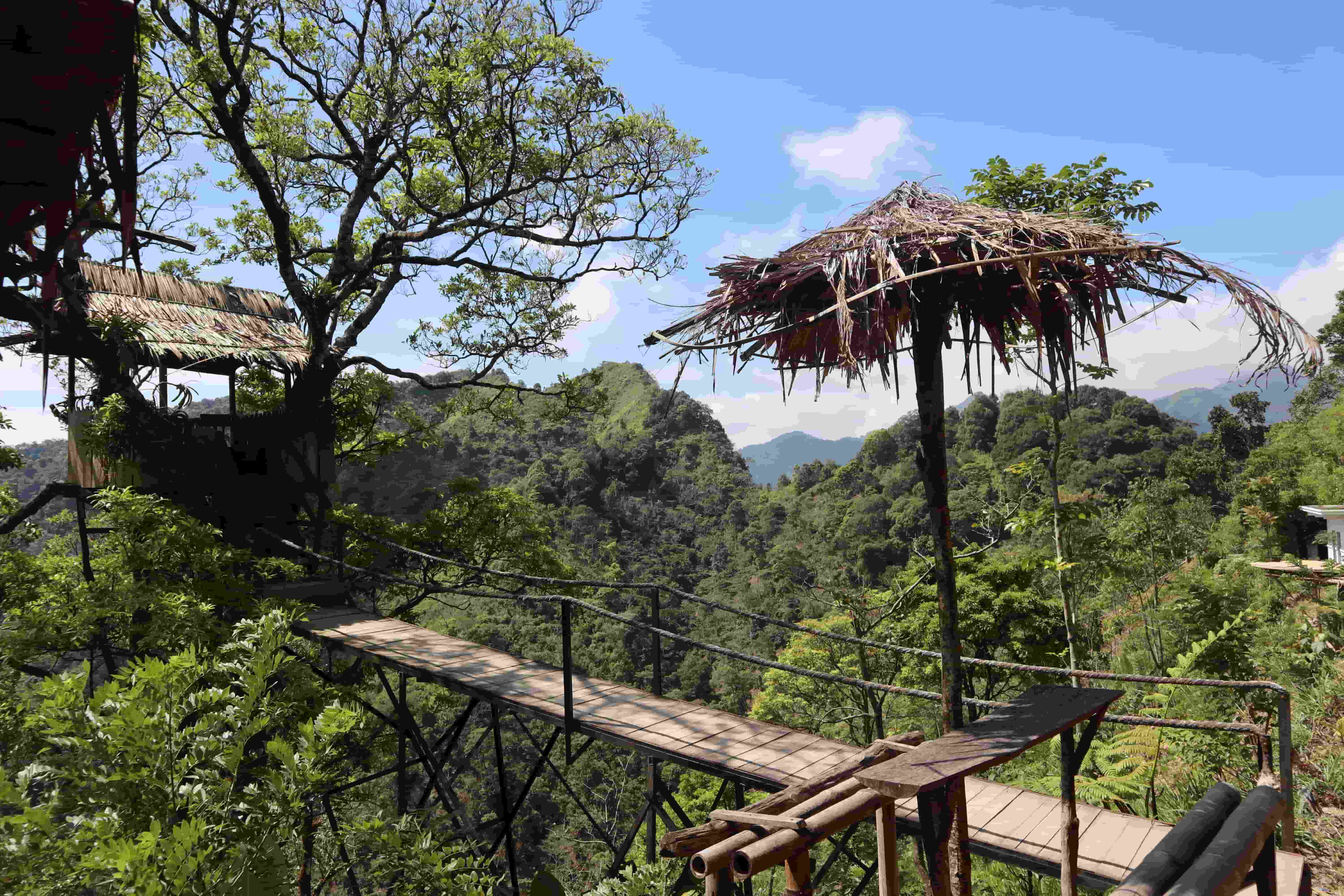 Yuk, ke Rumah Pohon di Bukit Bejagan Sambil Menikmati Panorama Alam yang Indah!