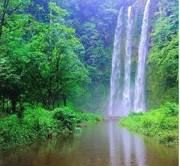 7 Air Terjun di Sumatera Selatan yang Bisa Dijadikan Alternatif Wisata Libur Lebaran 1 Curup Embun