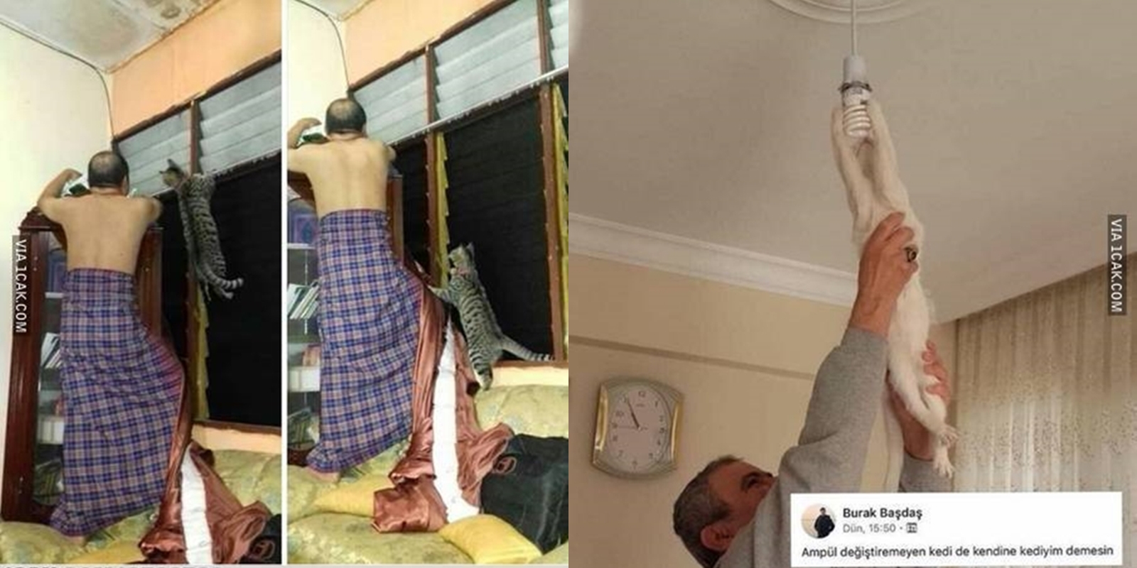 10 Potret Kekompakan Kocheng dan Hooman. Bukti Kucing Bisa Diajak Kerja, Nggak Cuma Ngeong Aja~