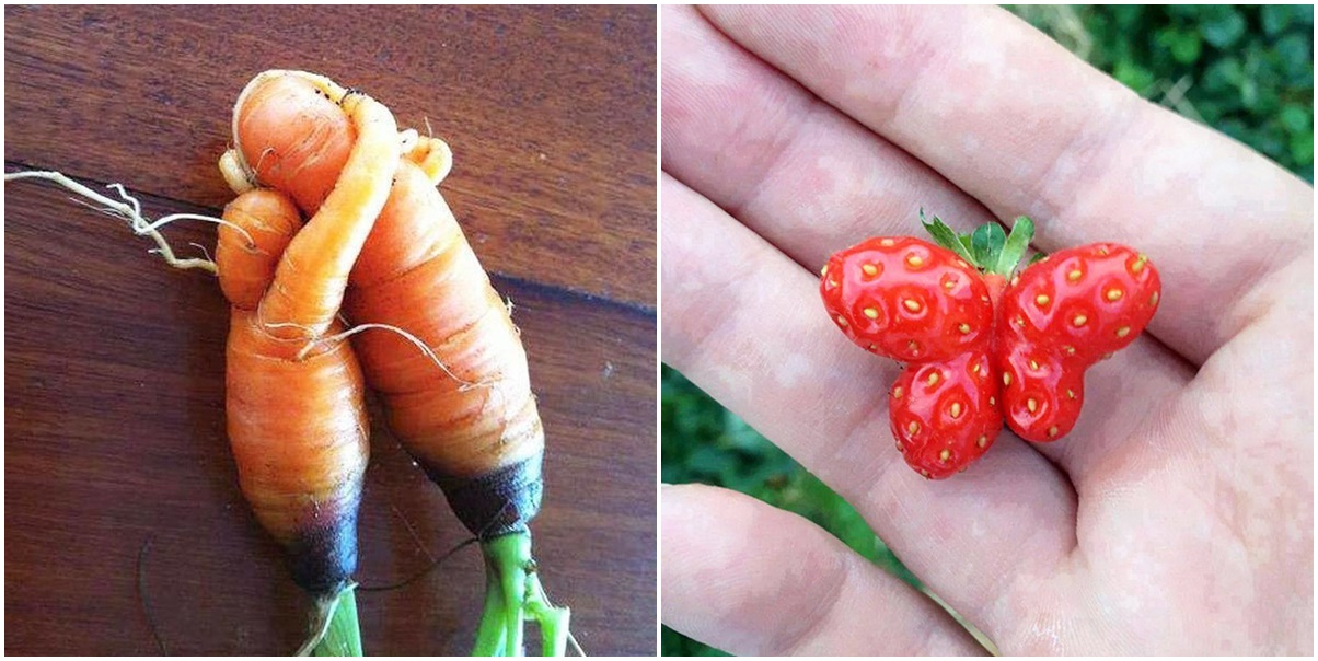 Nggak Cuma Orang, 10 Potret ini Bukti Buah dan Sayur Juga Bisa Jadi Cosplayer. Ajaib, Mirip Banget!