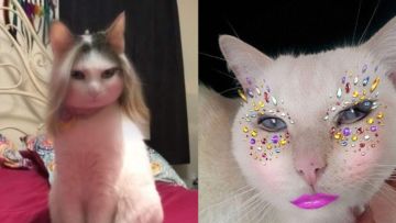 Deretan Potret Lucu Kucing Pakai Filter Snapchat. Makin Gemes sama Makhluk Kocak ini!