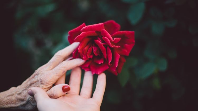 Cinta Tak Selamanya tentang Dia. Inilah Arti dari Cinta yang Sesungguhnya