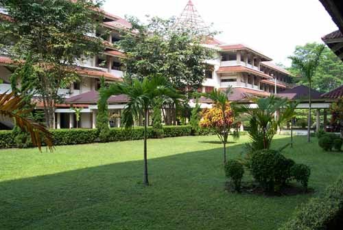 Tumbuhan Hijau sekitar