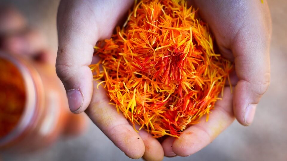 Mengenal Lebih Mendalam Bunga Saffron dengan Segudang Manfaatnya untuk Kesehatan