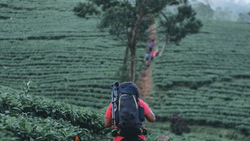 10 Gunung di Indonesia Untuk Pendaki Pemula, Jalur Pendakian Bersahabat