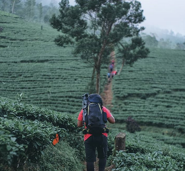 Gunung untuk pendaki pemula