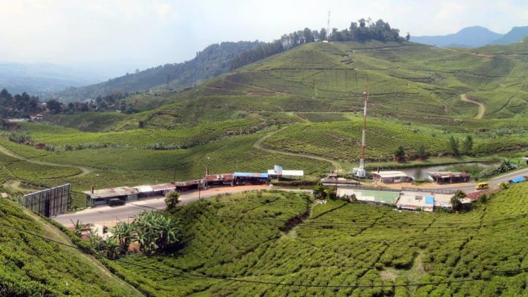 Buat Kamu yang Berencana mau Liburan, berikut 9 Tips untuk Memilih Villa di Puncak
