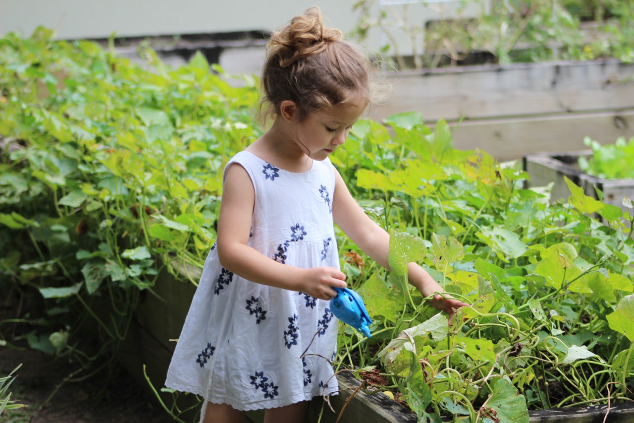 Aktivitas Berkebun: Sarana Bermain yang Asyik Bagi Tumbuh Kembang Si Kecil