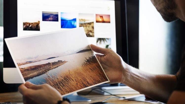 Lagi Cari Foto untuk Wallpaper atau Kebutuhan Desain? Ini Dia Situs Download Foto Gratis!