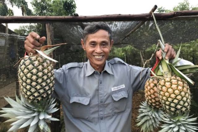 Ramah terhadap warga lokal