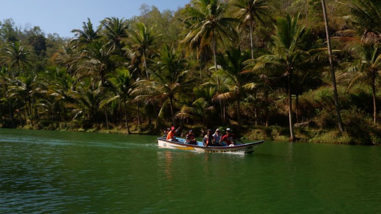 Murah Meriah hingga Indah, Mengintip Pesona Hutan Amazon Di Sungai Maron Pacitan