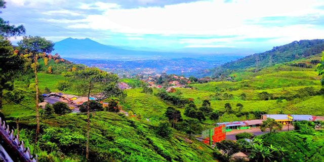 Pemandangan Di Puncak