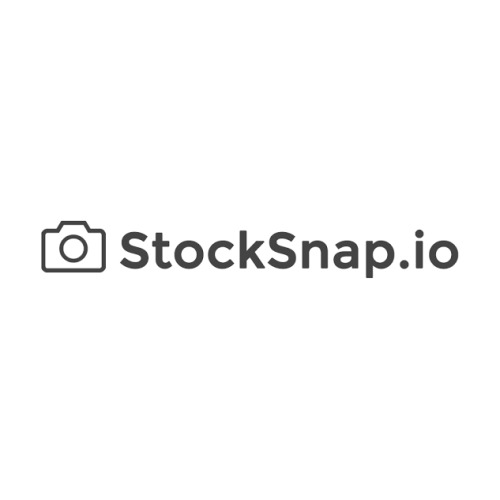 StockSnap Logo