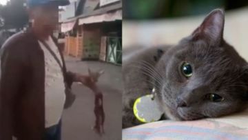 Viral Video Preman Makan Kucing Hidup-hidup, Ternyata Ini Motivasi Gilanya. Baru Ketahuan!