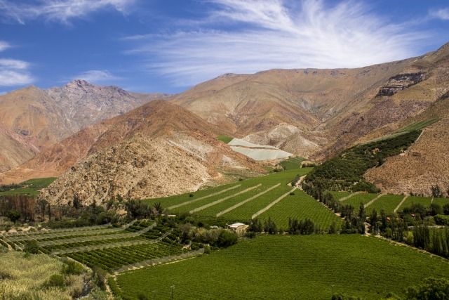 Lembah Elqui yang Asri 