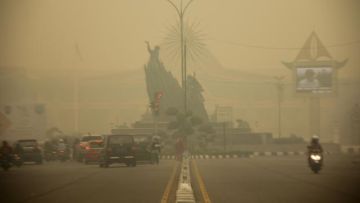 Curahan Hati Rakyat Riau Atas Kabut Asap yang Terjadi: Mau Sampai Kapan Begini?