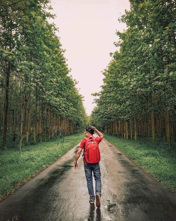 Wisata di Gunungkidul
