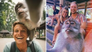 Trik Sederhana Foto Selfie Sama Monyet di Monkey Forest Ubud. Ternyata Begini Doang Caranya!