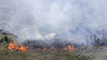 4 Sebab Kenapa Kebakaran Lahan Gambut Sulit Sekali Dipadamkan, Harus Pakai Hujan Alami atau Buatan