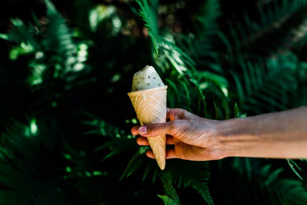 Photo by Jarek Ceborski on Unsplash
