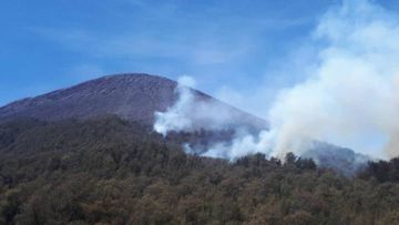Imbas dari Kebakaran Hutan, Aktivitas Pendakian di Gunung Semeru Ditutup Total!