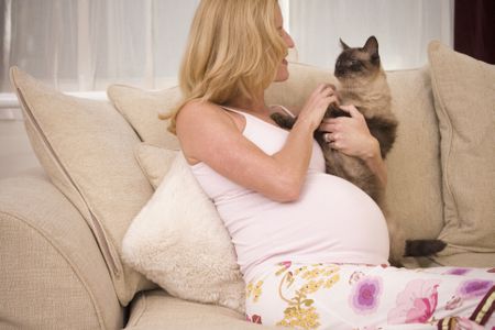 Mengungkap Fakta Soal Kucing yang Katanya Bisa Sebabkan Kemandulan. Pahami, Yuk!