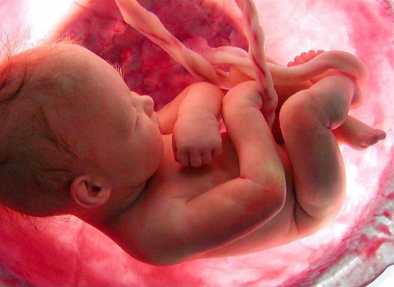 Mengenal Tahap Perkembangan Jenis Kelamin Bayi dalam Kandungan. Wow, Luar Biasa lo Ternyata!