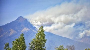 Hutan di Plawangan Senaru Gunung Rinjani Terbakar, Pendakian Ditutup untuk Sementara!