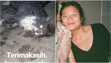 Viral Kucing Diberi Ciu hingga Mati oleh Warganet, Sejumlah Artis ini Ikut Geram. Tega Banget!