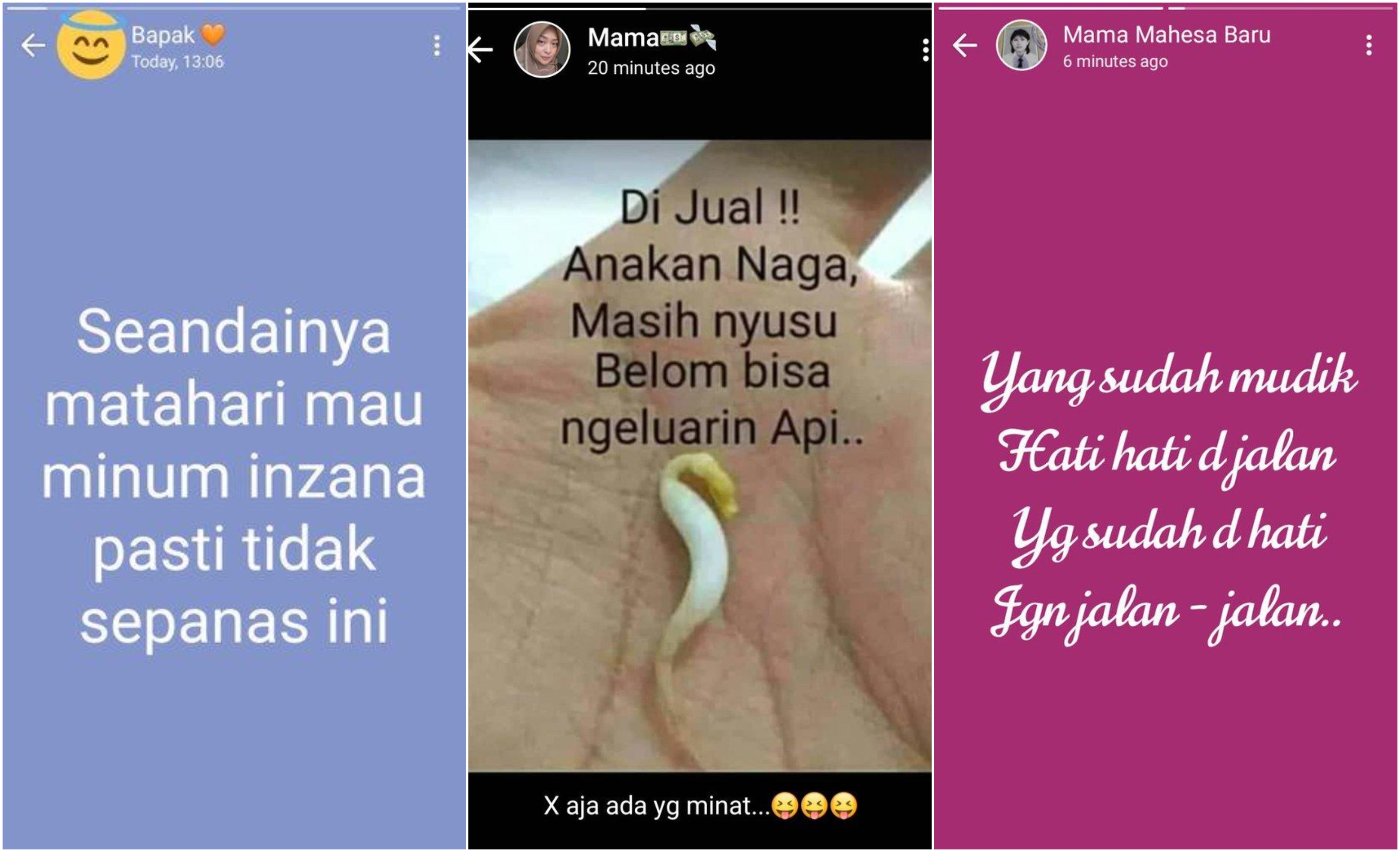 14 Status WA Lucu ala Jokes Orang Tua yang Nggak Terduga