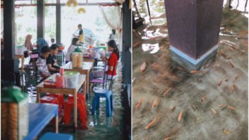 Uniknya Warung Soto Cokro Kembang di Sleman. Bisa Makan Soto Sambil Rendam Kaki di Kolam Ikan!